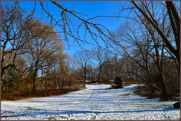 DSC_1885.jpg