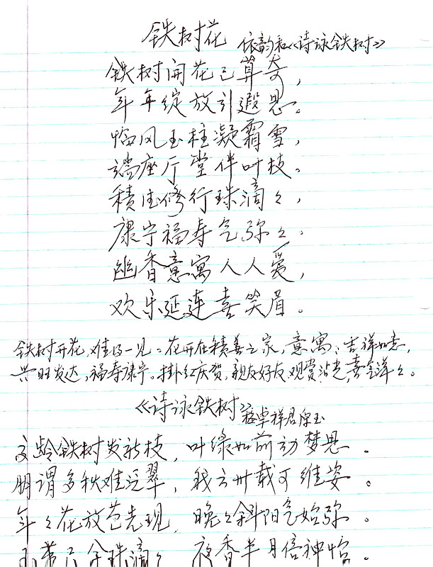 IMAG0013.jpg