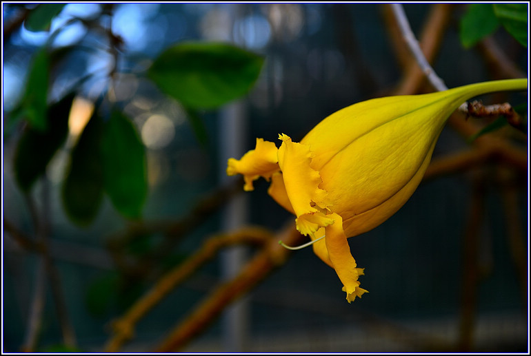 DSC_2423.jpg