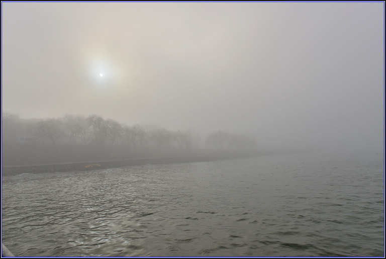 DSC_2559.jpg