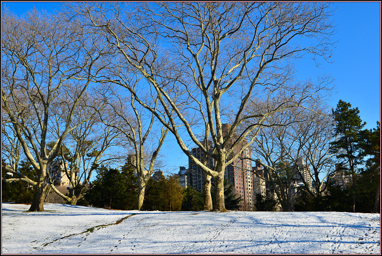 DSC_1866.jpg