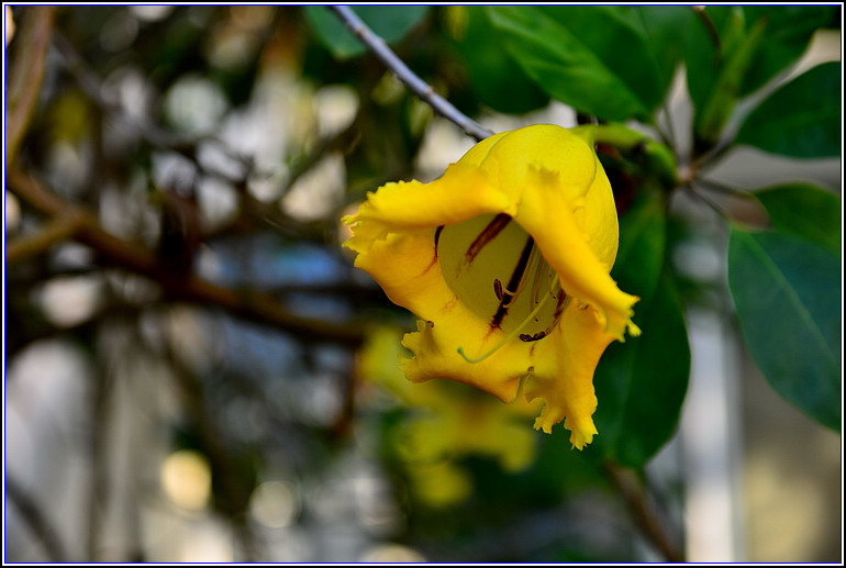 DSC_2417.jpg