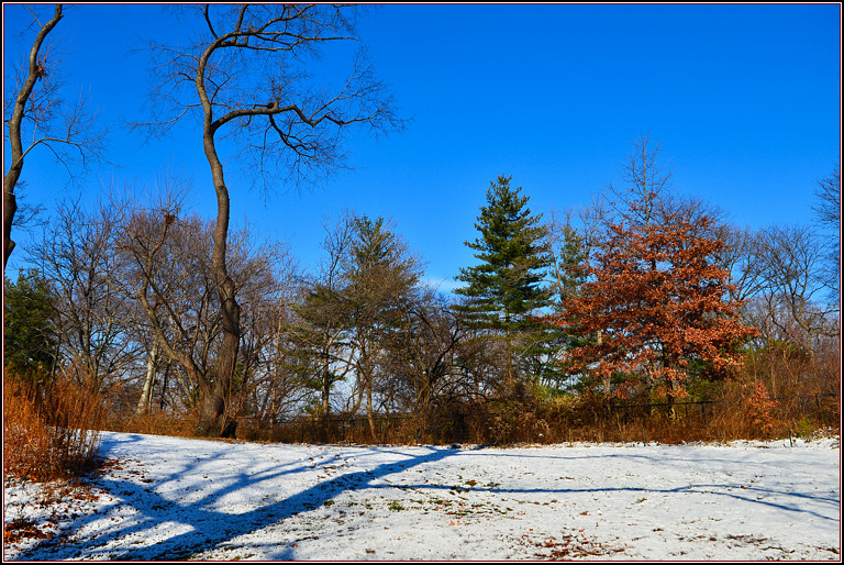 DSC_1869.jpg