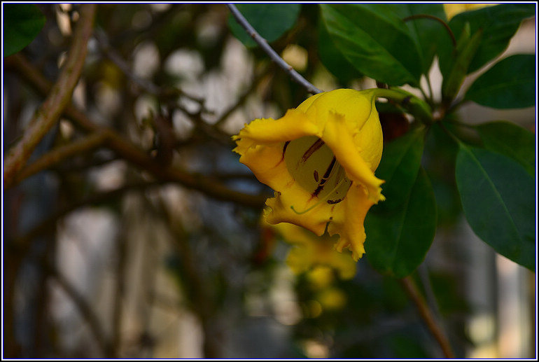 DSC_2425.jpg
