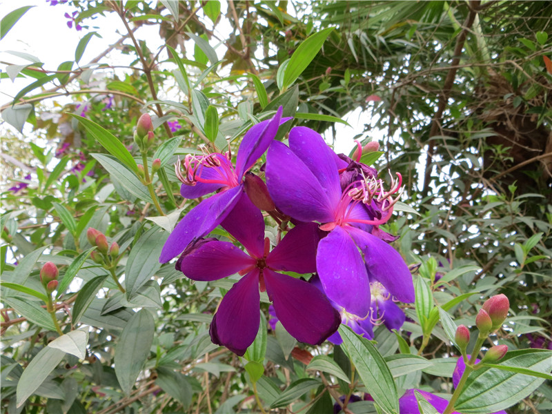 IMG_5609.jpg