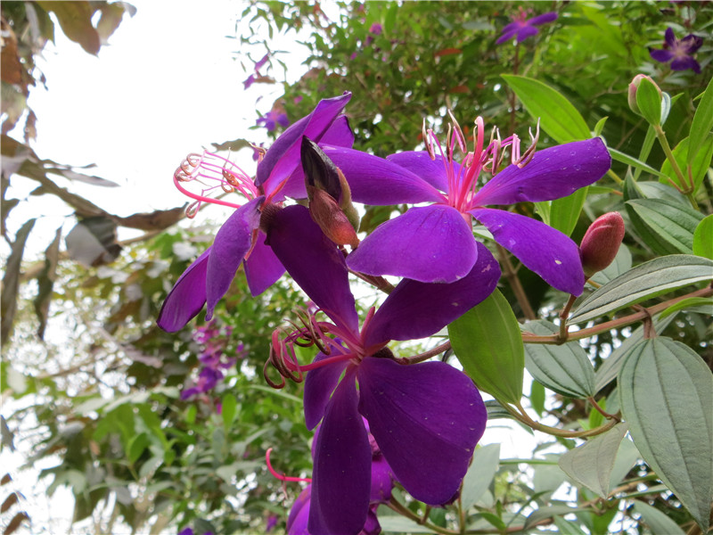 IMG_5610.jpg