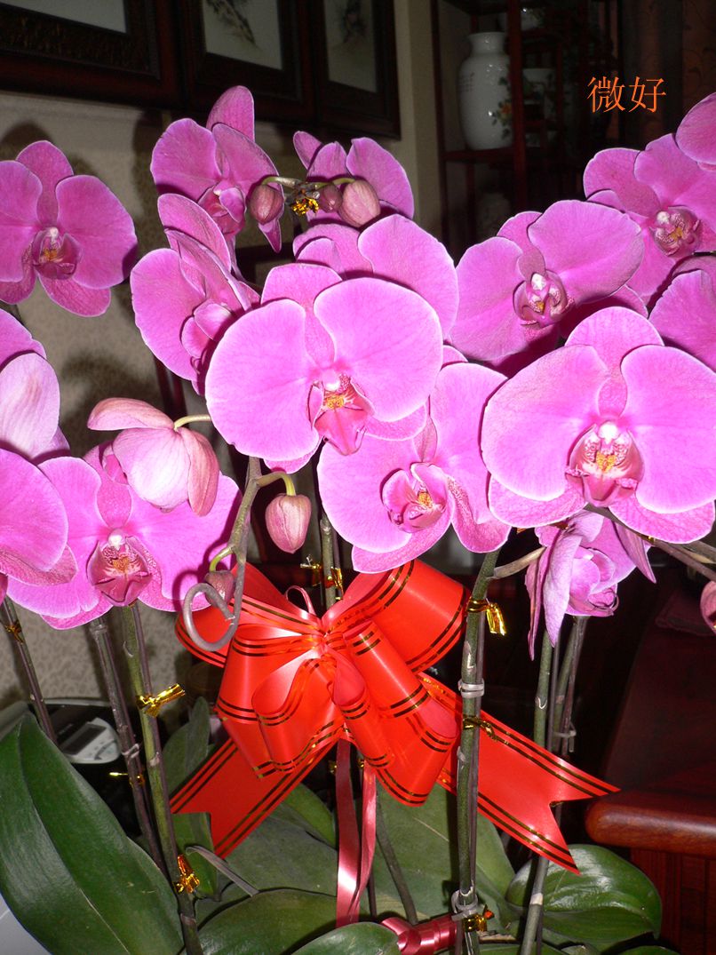 P1190142_.jpg