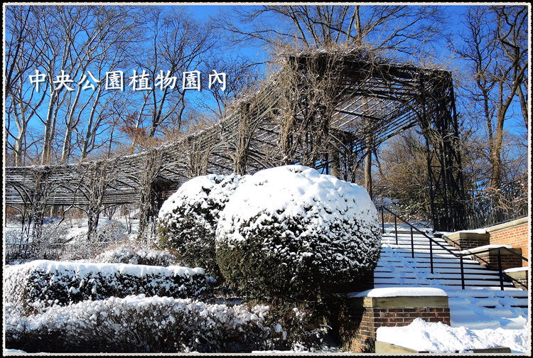 DSCN9035_.jpg