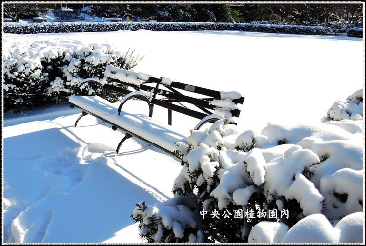 DSCN9032_.jpg