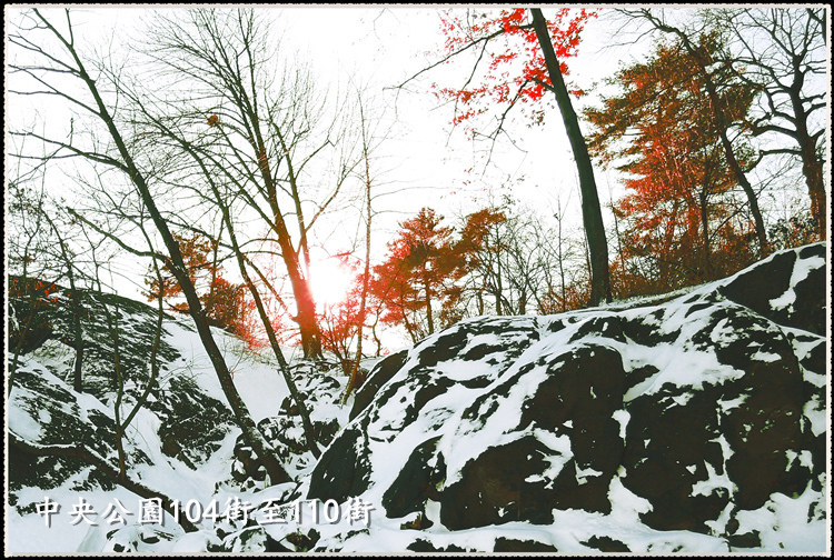 DSCN9083_.jpg