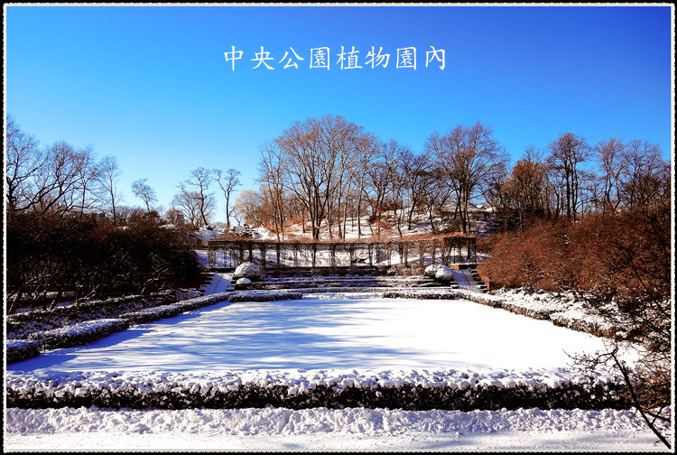 DSCN9134_.jpg