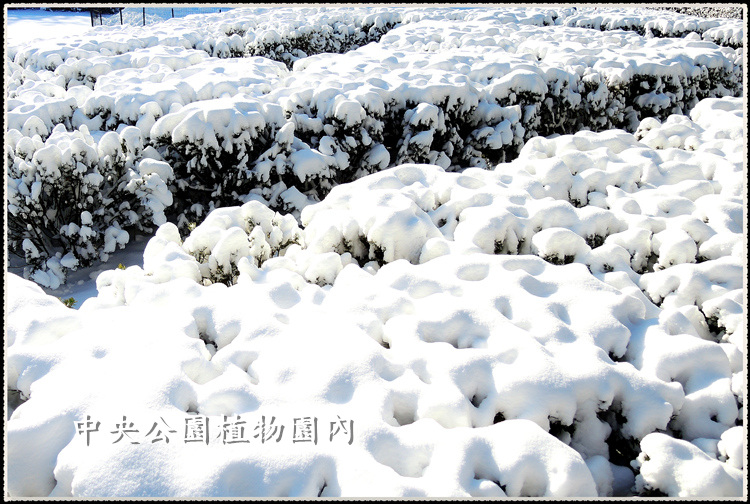 DSCN9034_.jpg