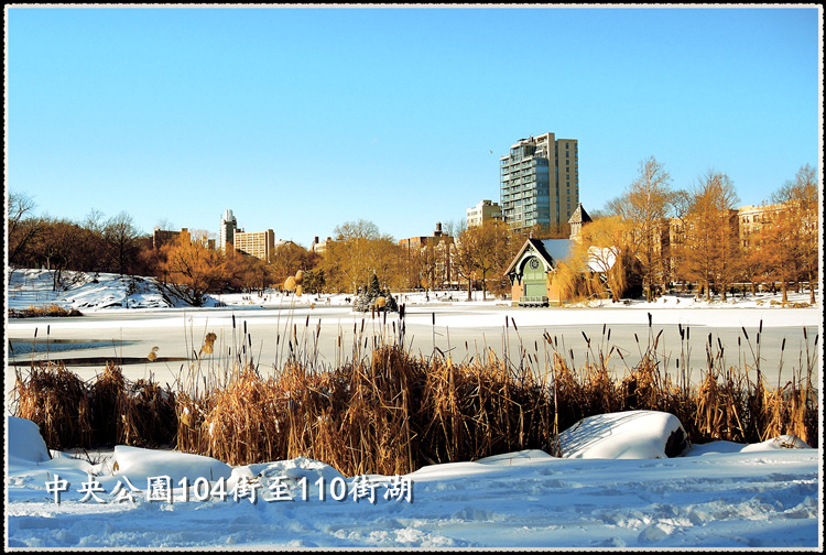 DSCN9129_.jpg