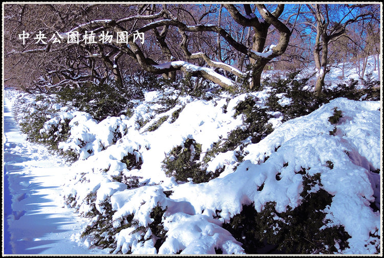 DSCN9025_.jpg