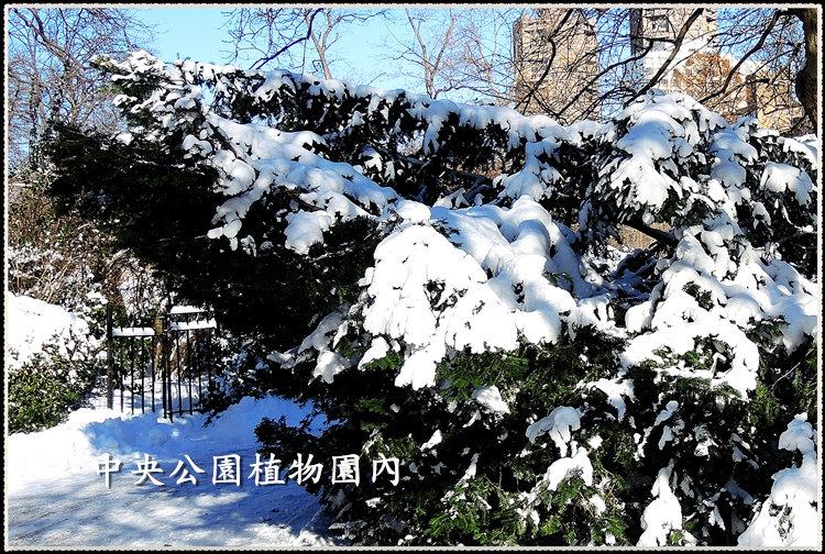 DSCN9050_.jpg