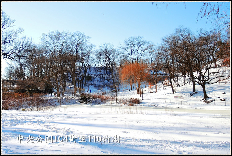 DSCN9121_.jpg