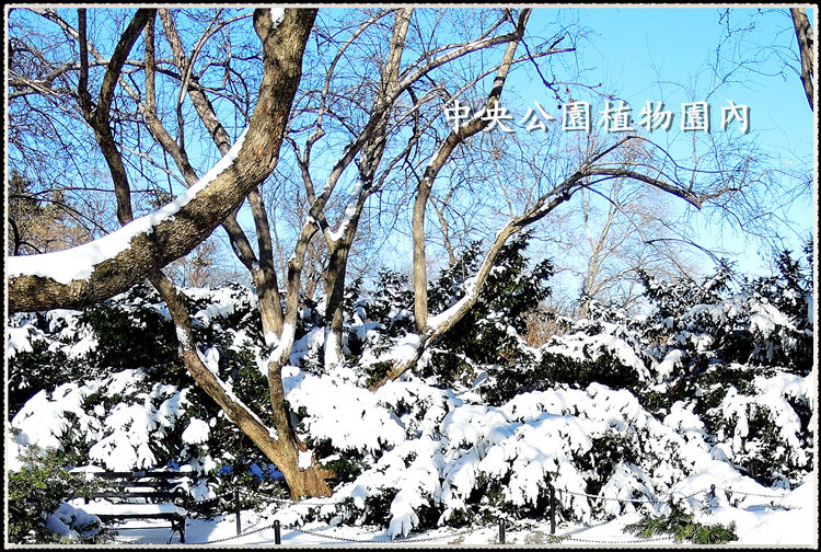 DSCN9033_.jpg