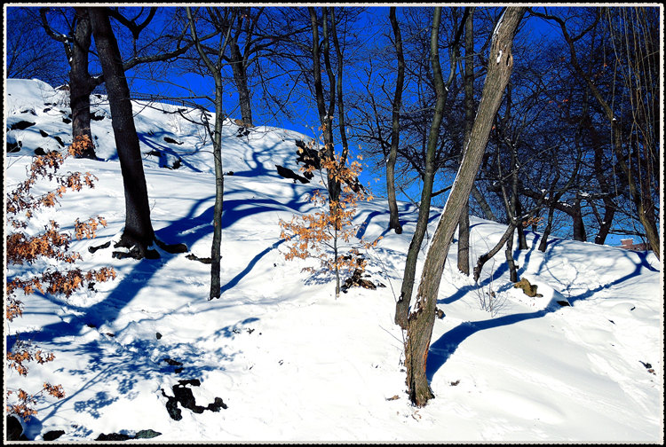 DSCN9070.jpg