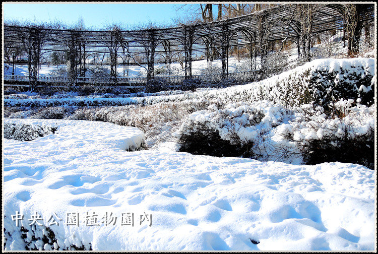 DSCN9040_.jpg