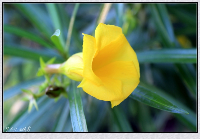 20131030 006_conew1.jpg