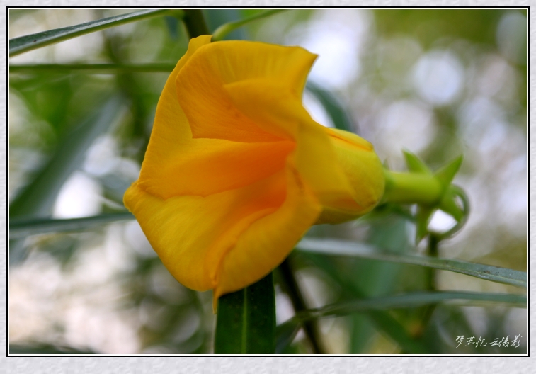 20131030 007_conew1.jpg