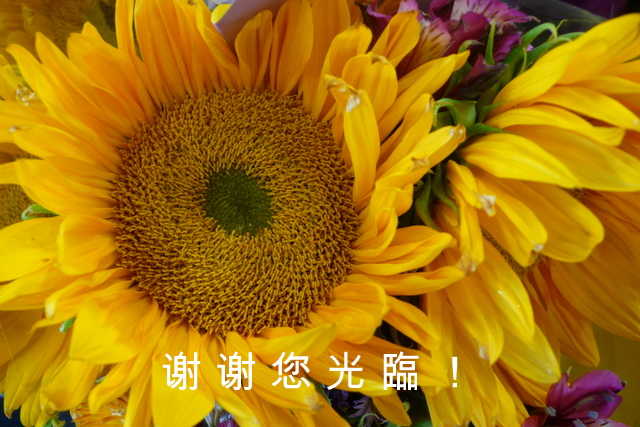 P1280779.JPG