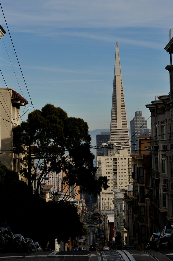 DSC_2222.jpg