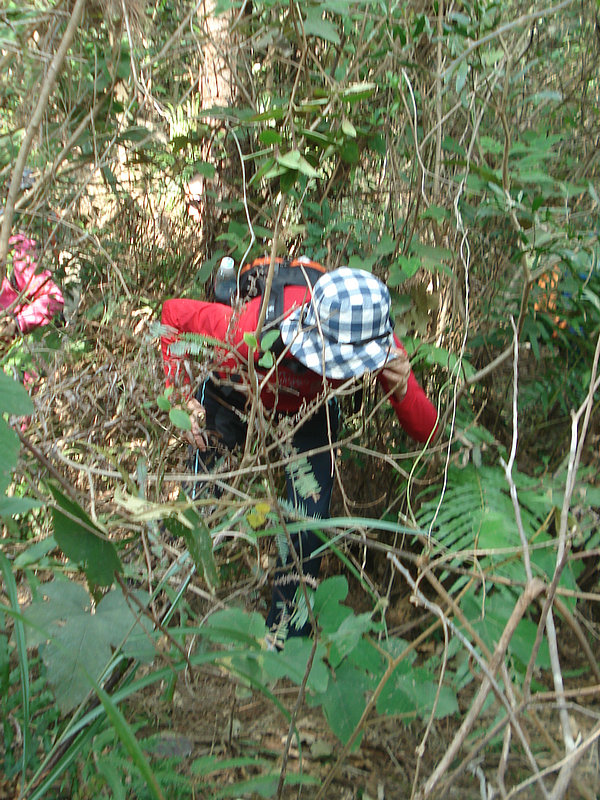 DSC00186.jpg