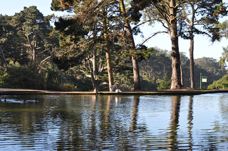 Golden gate park 275_.jpg
