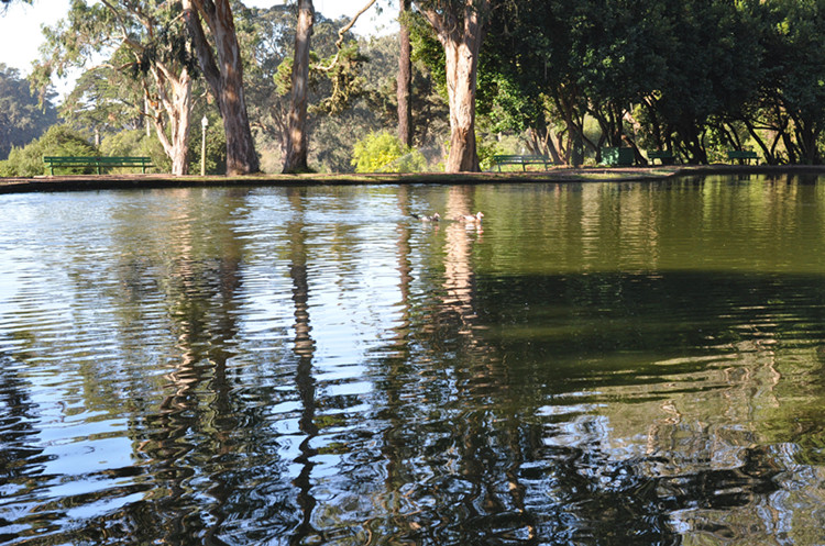 Golden gate park 280_.jpg