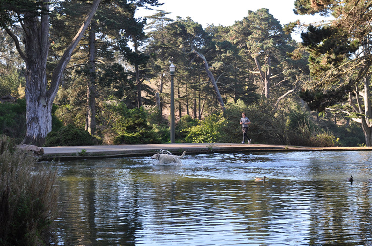 Golden gate park 278_.jpg