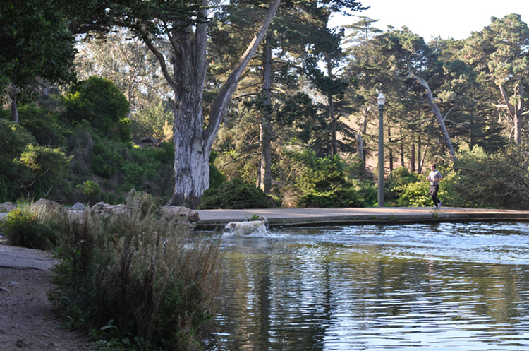 Golden gate park 279_.jpg