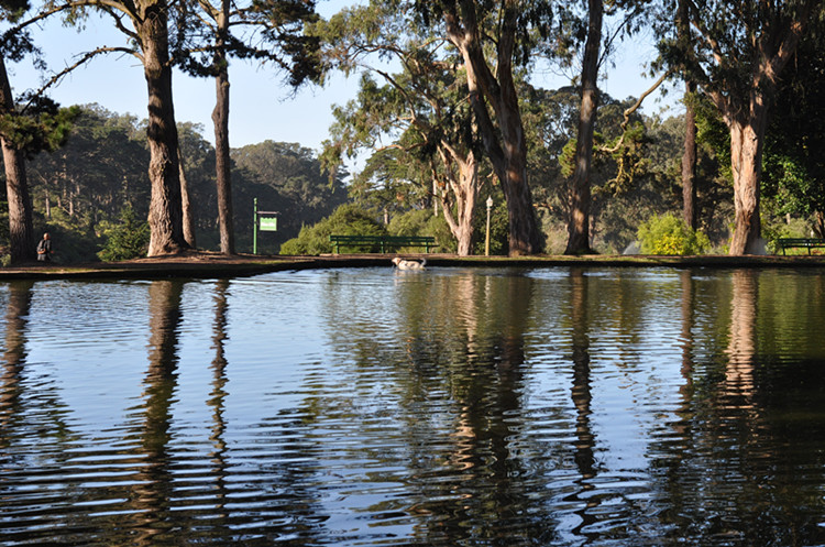 Golden gate park 273_.jpg