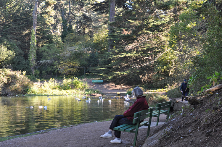 Golden gate park 270_.jpg
