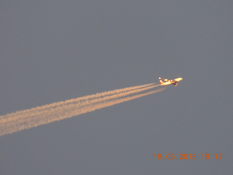 live 1211_.jpg