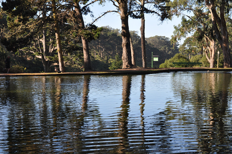 Golden gate park 272_.jpg