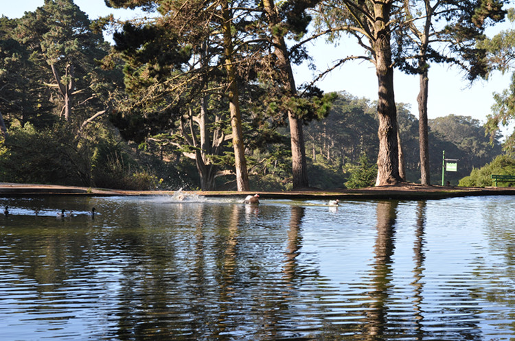 Golden gate park 276_.jpg