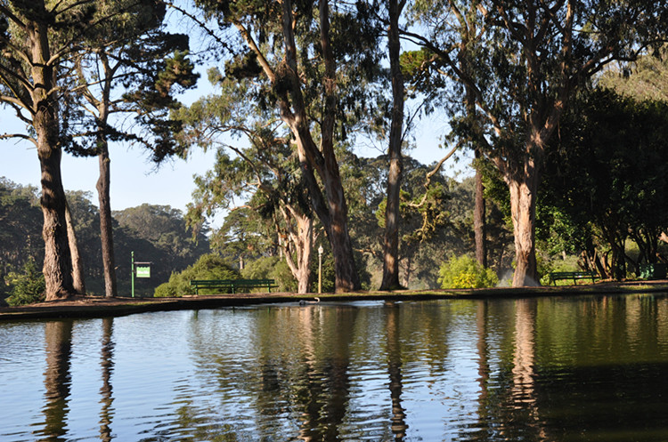 Golden gate park 271_.jpg