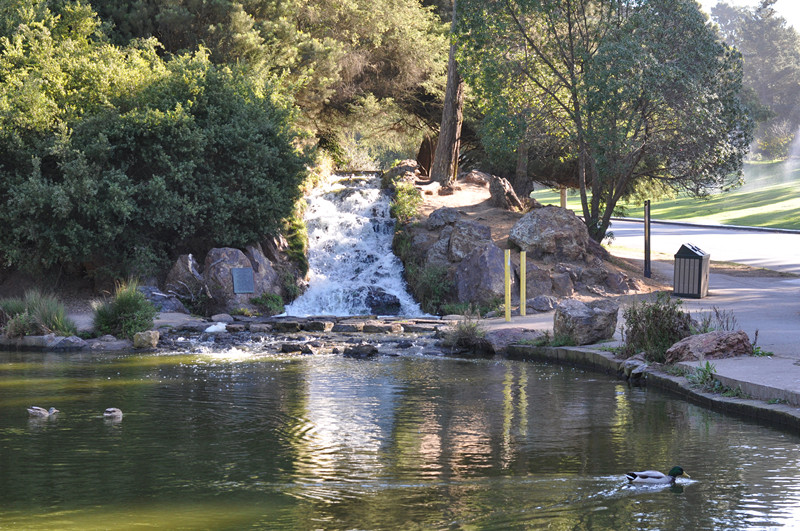 Golden gate park 259_.jpg