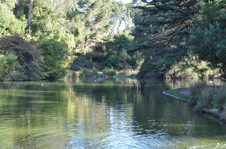 Golden gate park 251_.jpg