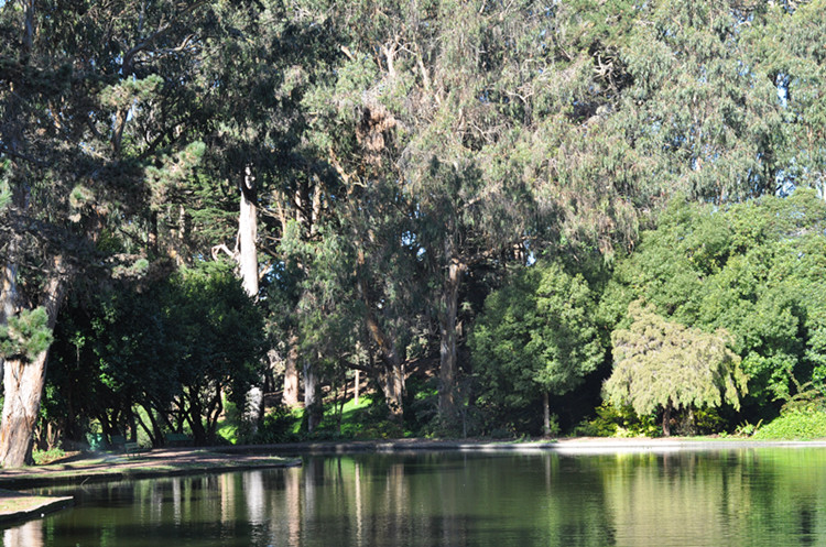 Golden gate park 247_.jpg