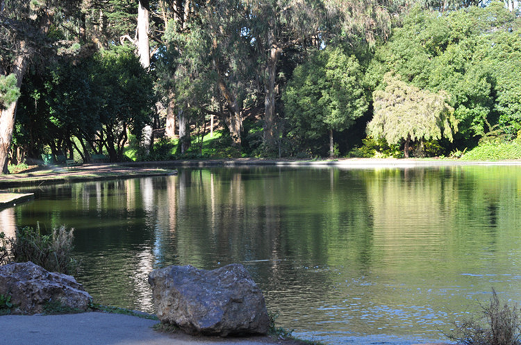 Golden gate park 246_.jpg
