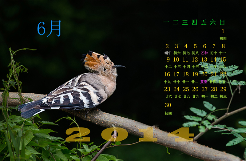 102_2568_d2e81bacb7ffe17.jpg