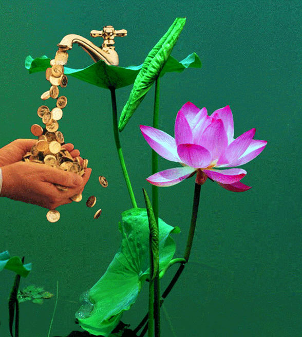201208262d64df56c4fe3c84f55819d6ee8e7af4.gif