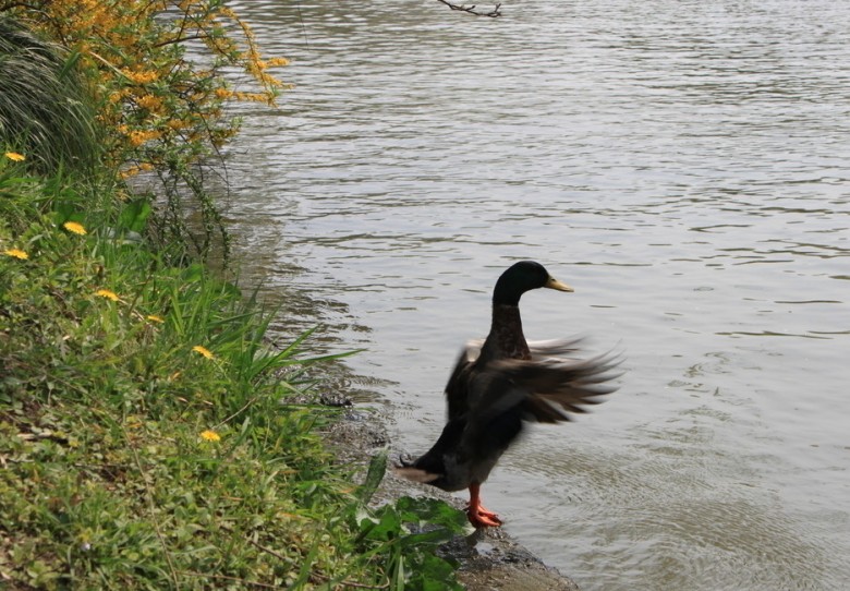 2_41797_7661ed185f0ed96_conew55.jpg