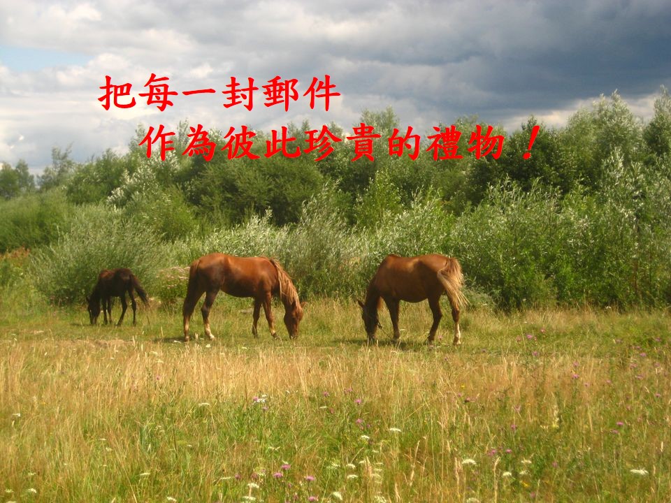 Slide40.JPG