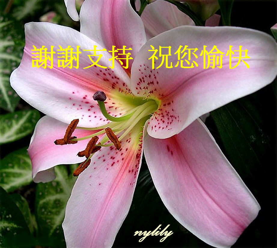 200822381747450_2.jpg