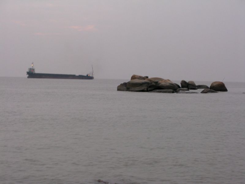 IMG_6534.jpg