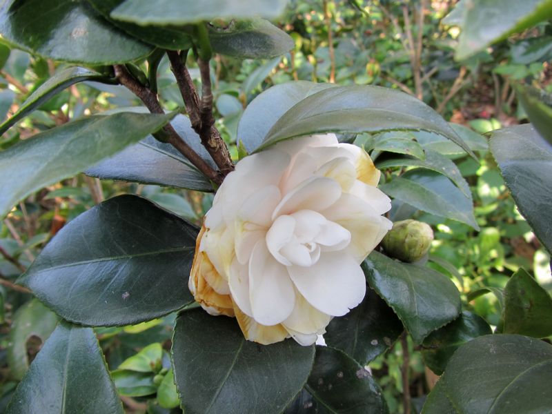 IMG_8686.jpg