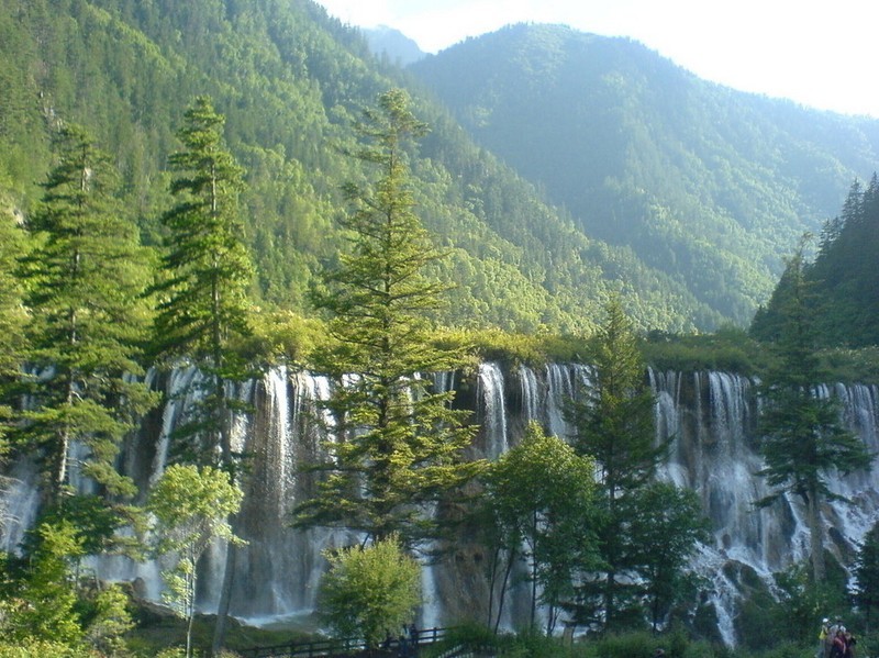 IMG_1114.jpg